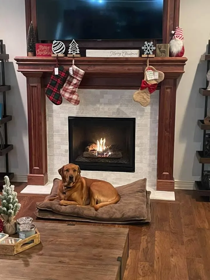 Best Chimney Services LLC